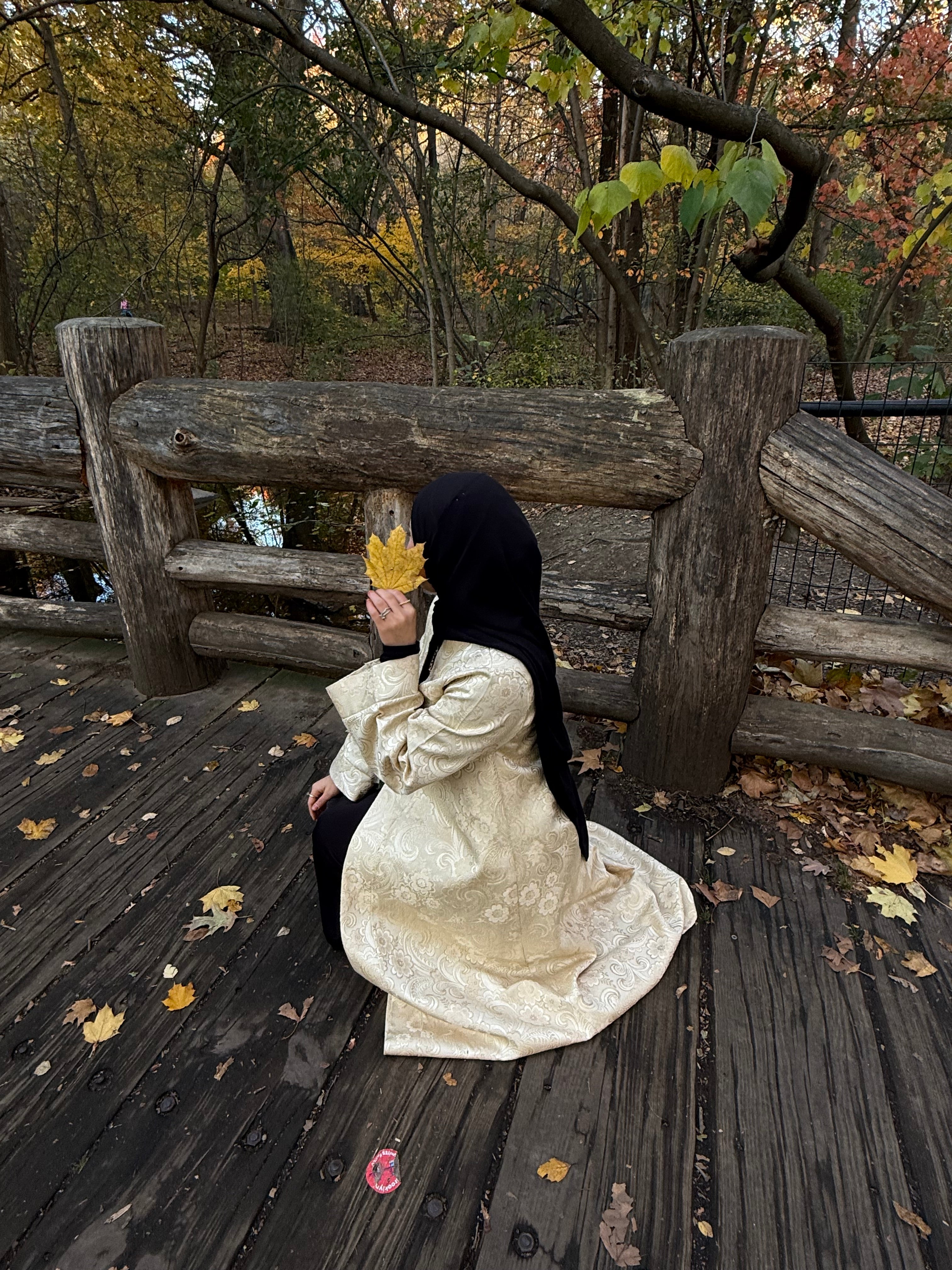 Autumn Noor